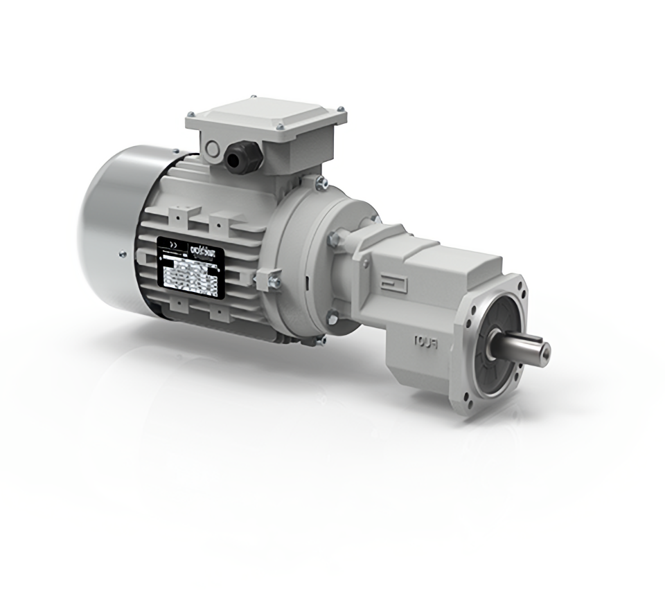 Worm Gearmotor PU